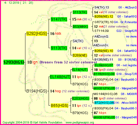 Pedigree of S293(HGS) :
four generations presented<br />it's temporarily unavailable, sorry!