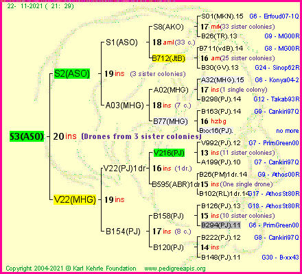 Pedigree of S3(ASO) :
four generations presented
it's temporarily unavailable, sorry!