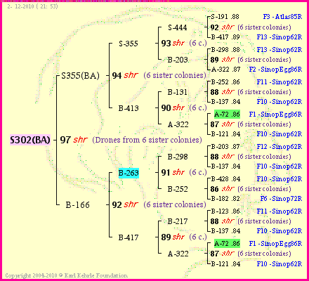 Pedigree of S302(BA) :
four generations presented