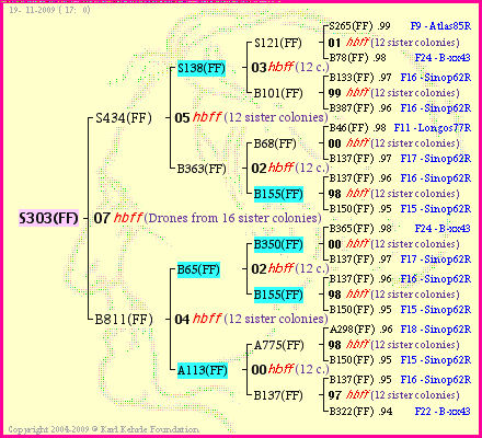 Pedigree of S303(FF) :
four generations presented