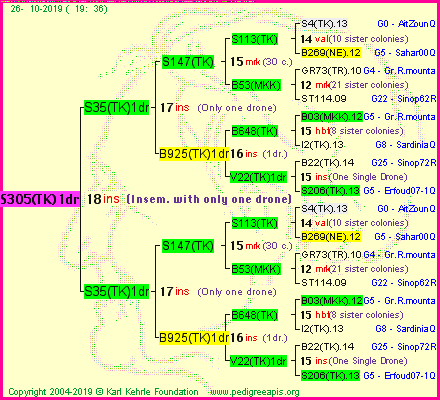 Pedigree of S305(TK)1dr :
four generations presented<br />it's temporarily unavailable, sorry!