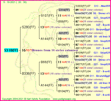 Pedigree of S318(FF) :
four generations presented
it's temporarily unavailable, sorry!