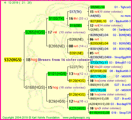 Pedigree of S32(HGS) :
four generations presented
it's temporarily unavailable, sorry!