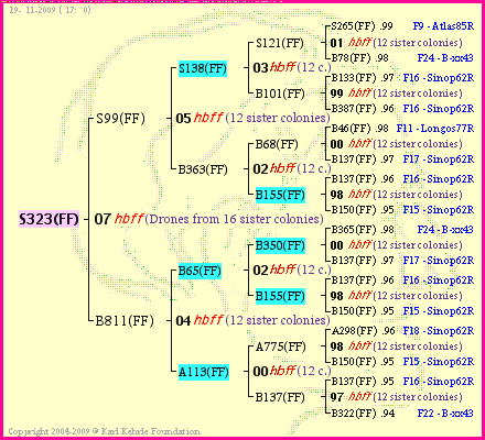 Pedigree of S323(FF) :
four generations presented