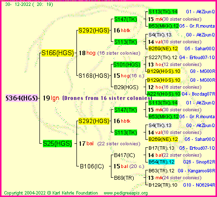 Pedigree of S364(HGS) :
four generations presented
it's temporarily unavailable, sorry!