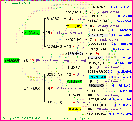 Pedigree of S4(ASO) :
four generations presented
it's temporarily unavailable, sorry!