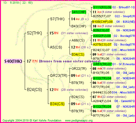 Pedigree of S40(THK) :
four generations presented<br />it's temporarily unavailable, sorry!