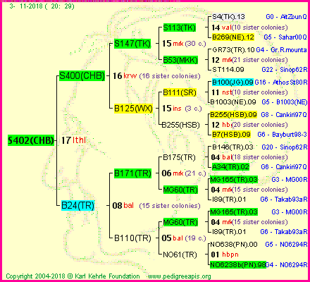 Pedigree of S402(CHB) :
four generations presented
it's temporarily unavailable, sorry!