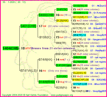 Pedigree of S404(CHB) :
four generations presented
it's temporarily unavailable, sorry!