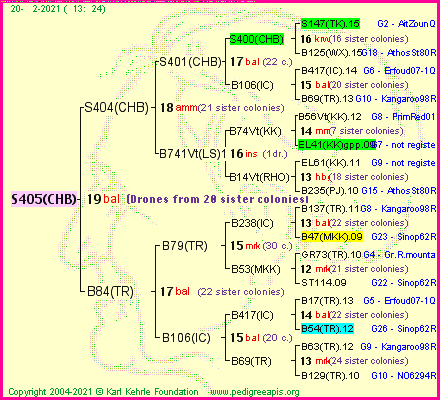 Pedigree of S405(CHB) :
four generations presented
it's temporarily unavailable, sorry!