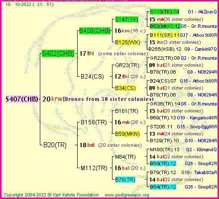 Pedigree of S407(CHB) :
four generations presented
it's temporarily unavailable, sorry!