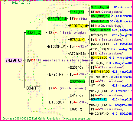 Pedigree of S429(IC) :
four generations presented
it's temporarily unavailable, sorry!