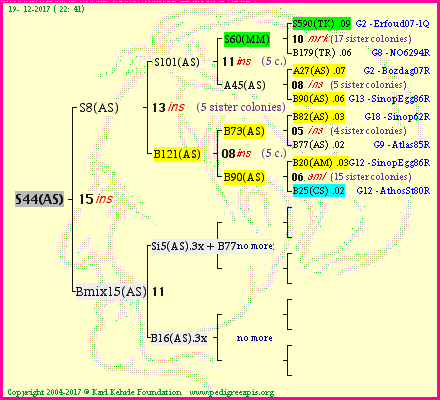 Pedigree of S44(AS) :
four generations presented