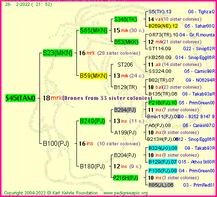 Pedigree of S45(TAM) :
four generations presented
it's temporarily unavailable, sorry!