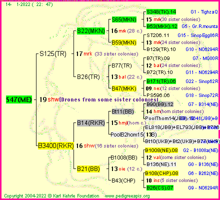 Pedigree of S47(ME) :
four generations presented
it's temporarily unavailable, sorry!