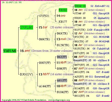 Pedigree of S5(FLM) :
four generations presented<br />it's temporarily unavailable, sorry!