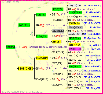 Pedigree of S5(RS) :
four generations presented