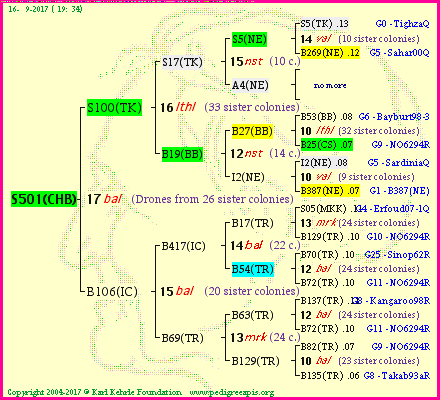 Pedigree of S501(CHB) :
four generations presented