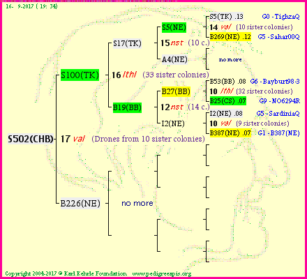 Pedigree of S502(CHB) :
four generations presented