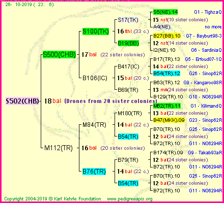 Pedigree of S502(CHB) :
four generations presented
it's temporarily unavailable, sorry!