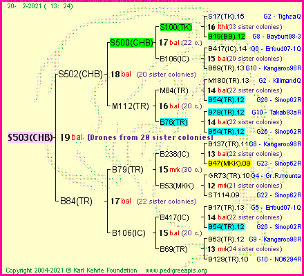 Pedigree of S503(CHB) :
four generations presented
it's temporarily unavailable, sorry!