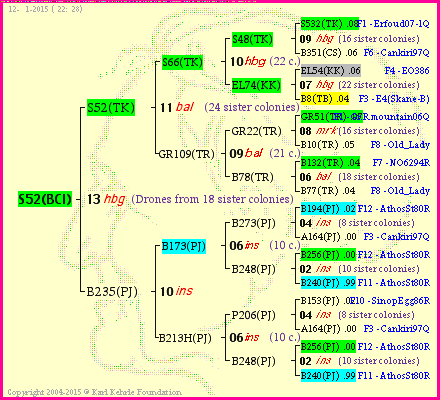 Pedigree of S52(BCI) :
four generations presented