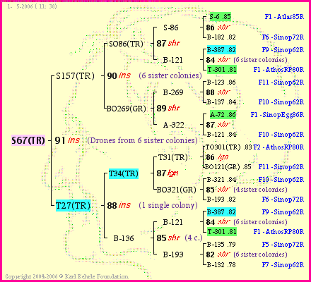 Pedigree of S67(TR) :
four generations presented<br />it's temporarily unavailable, sorry!