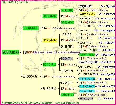 Pedigree of S68(MKN) :
four generations presented
it's temporarily unavailable, sorry!