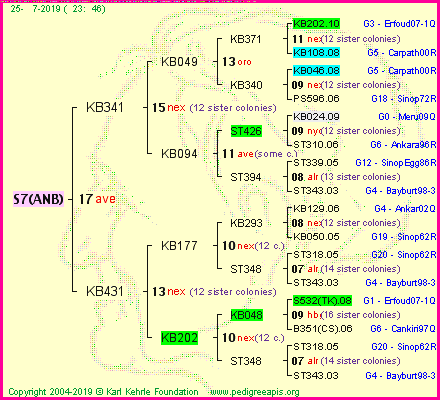 Pedigree of S7(ANB) :
four generations presented<br />it's temporarily unavailable, sorry!