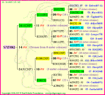 Pedigree of S7(THK) :
four generations presented