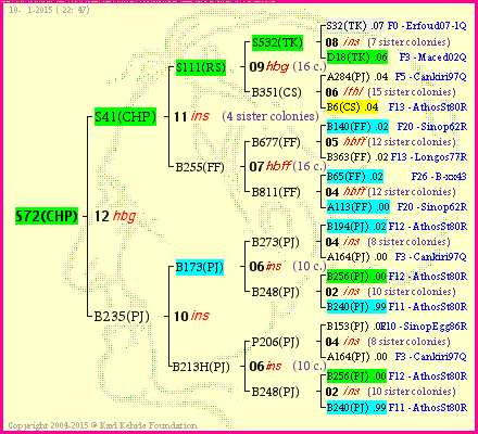 Pedigree of S72(CHP) :
four generations presented