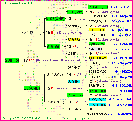 Pedigree of S8(FRS) :
four generations presented
it's temporarily unavailable, sorry!