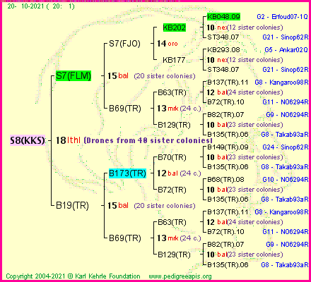 Pedigree of S8(KKS) :
four generations presented
it's temporarily unavailable, sorry!