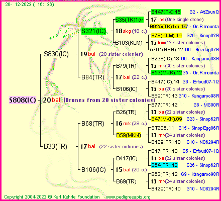 Pedigree of S808(IC) :
four generations presented
it's temporarily unavailable, sorry!