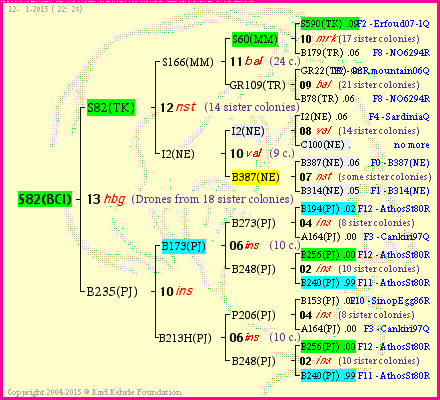 Pedigree of S82(BCI) :
four generations presented