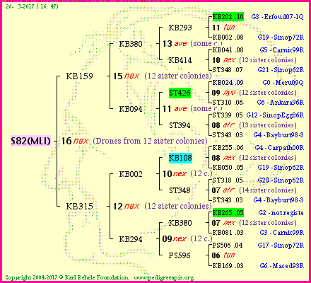 Pedigree of S82(MLI) :
four generations presented<br />it's temporarily unavailable, sorry!