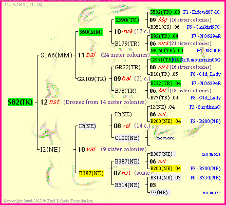 Pedigree of S82(TK) :
four generations presented