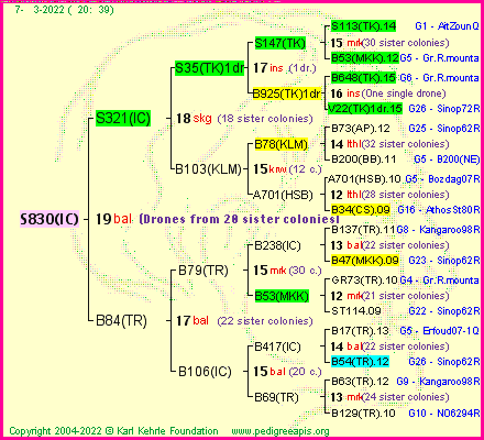 Pedigree of S830(IC) :
four generations presented
it's temporarily unavailable, sorry!