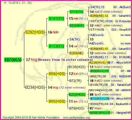 Pedigree of S87(HGS) :
four generations presented<br />it's temporarily unavailable, sorry!