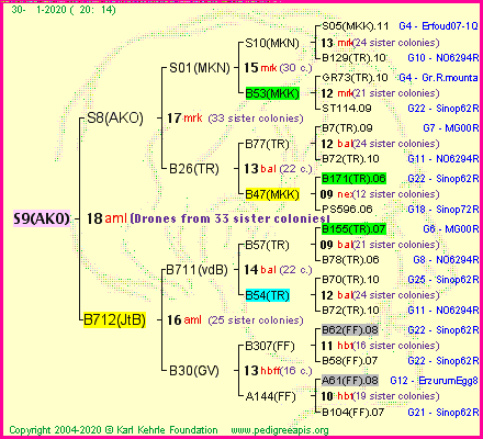 Pedigree of S9(AKO) :
four generations presented<br />it's temporarily unavailable, sorry!