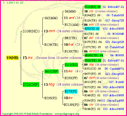 Pedigree of S9(HB) :
four generations presented<br />it's temporarily unavailable, sorry!