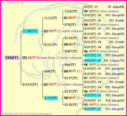 Pedigree of S99(FF) :
four generations presented