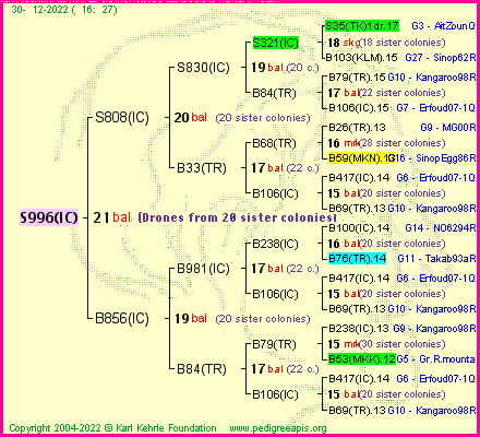 Pedigree of S996(IC) :
four generations presented
it's temporarily unavailable, sorry!