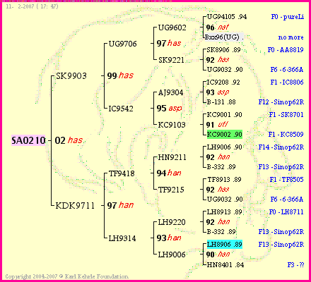 Pedigree of SA0210 :
four generations presented