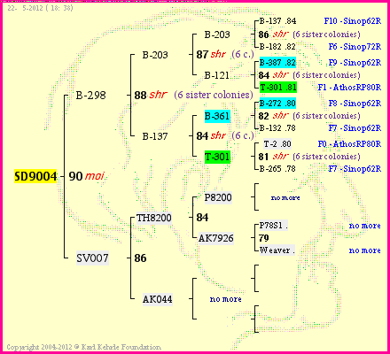 Pedigree of SD9004 :
four generations presented