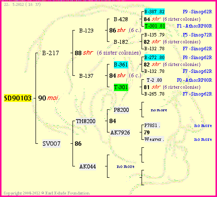 Pedigree of SD90103 :
four generations presented