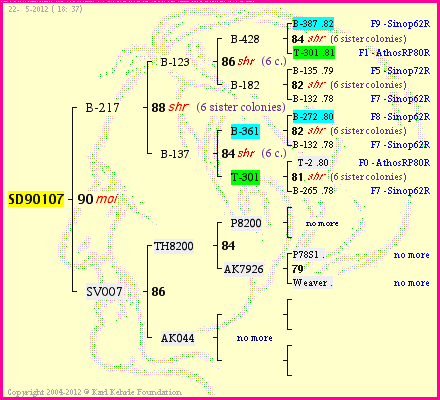 Pedigree of SD90107 :
four generations presented