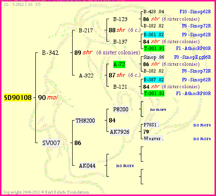 Pedigree of SD90108 :
four generations presented