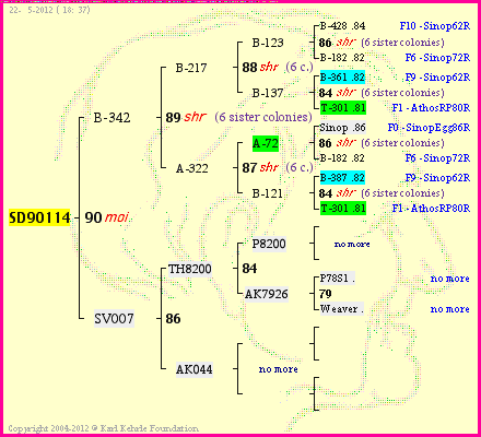 Pedigree of SD90114 :
four generations presented