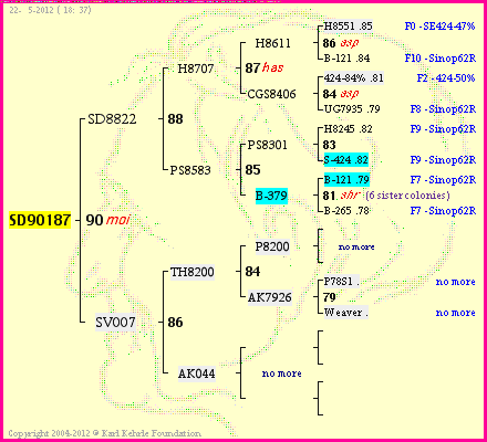 Pedigree of SD90187 :
four generations presented